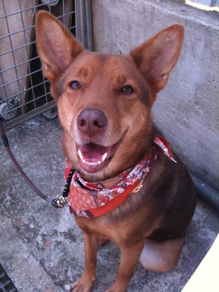 Coco