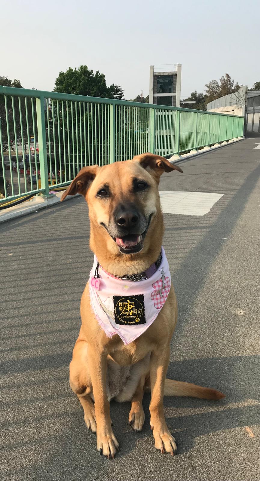 思思